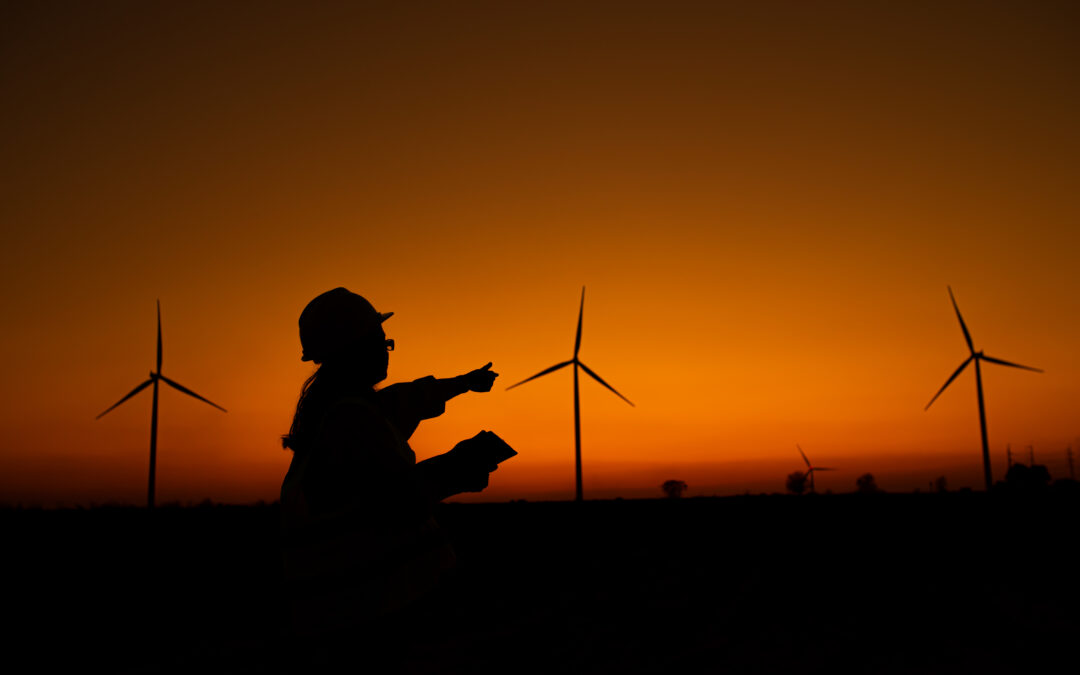 consultant en énergie Energywan